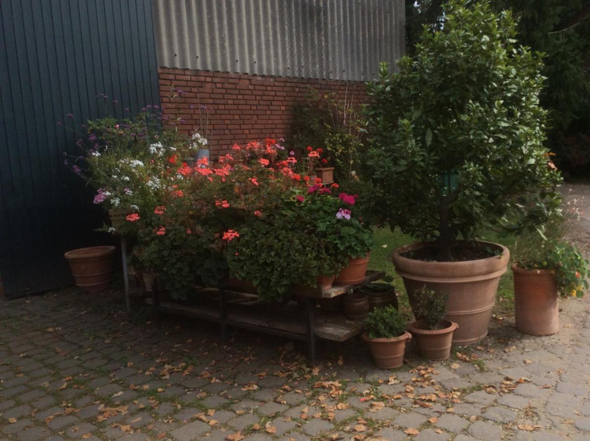 Ferienwohnung Haumannshof クサンテン エクステリア 写真